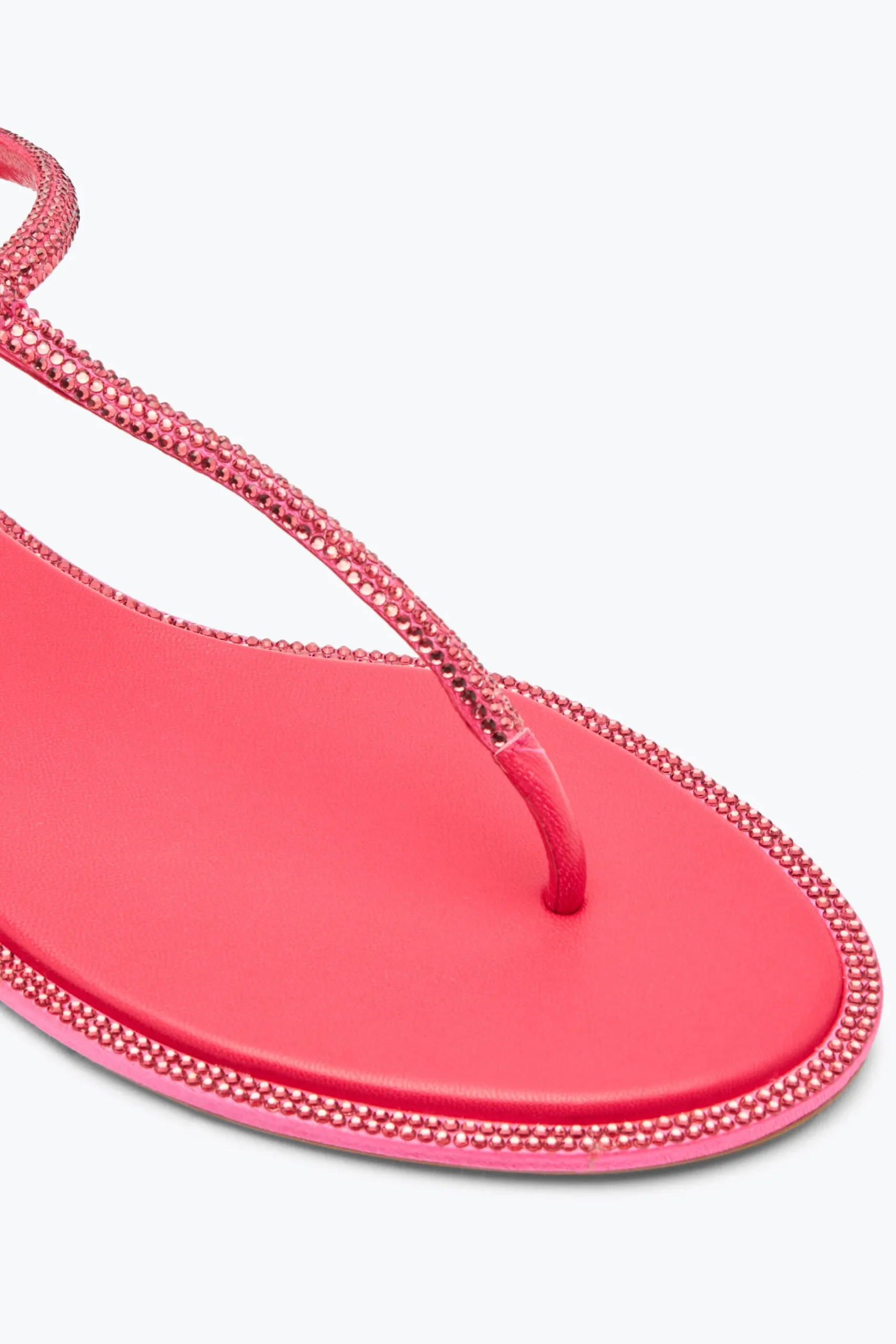 Flat^Rene Caovilla Sandalo Diana Corallo Con Cristalli 10 Rosa