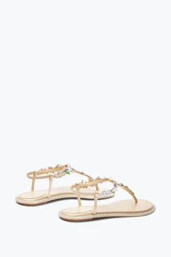 Per Le Invitate|Flat^Rene Caovilla Sandalo Infradito Eden 10 Nude