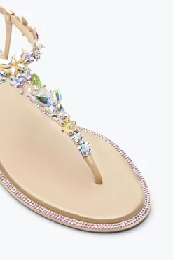 Per Le Invitate|Flat^Rene Caovilla Sandalo Infradito Eden 10 Nude